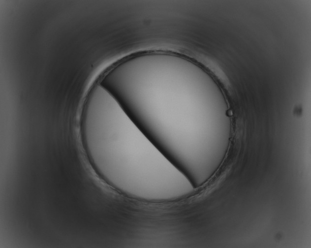 X0000101980936200807180757