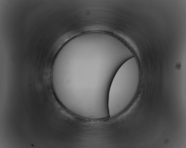 X0000101980937200807180757