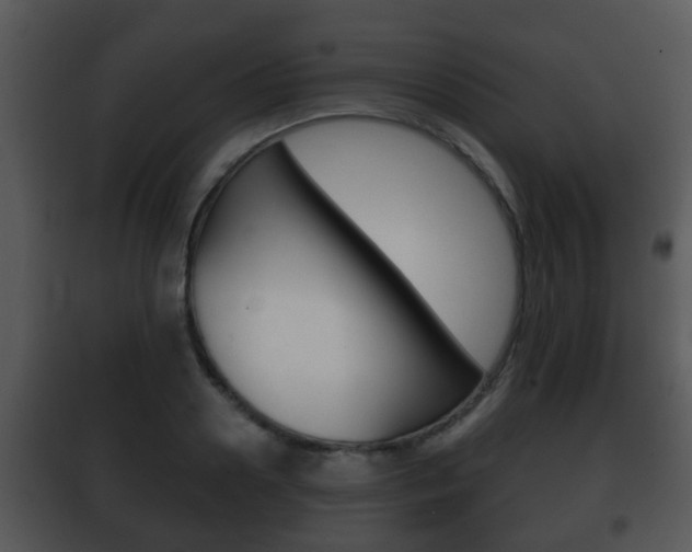 X0000101980938200807180757