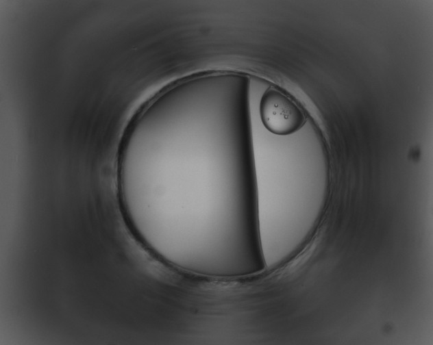 X0000101980939200807180757