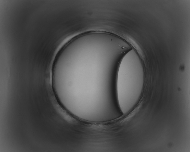 X0000101980940200807180757