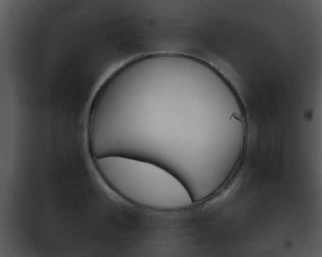 X0000101980941200807180757