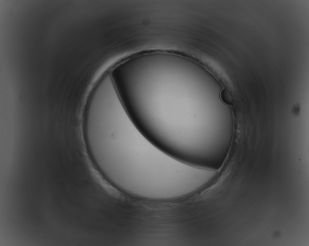 X0000101980942200807180757