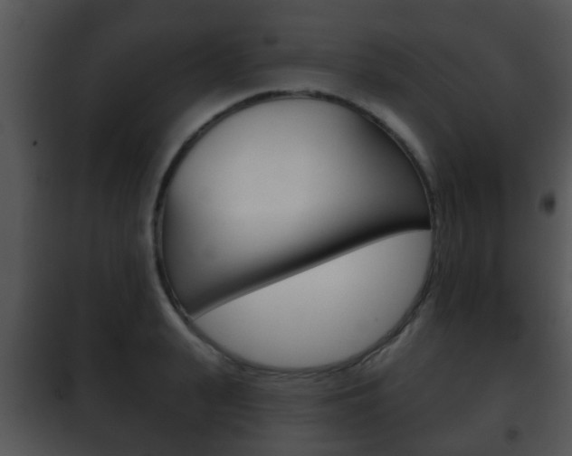 X0000101980943200807180757