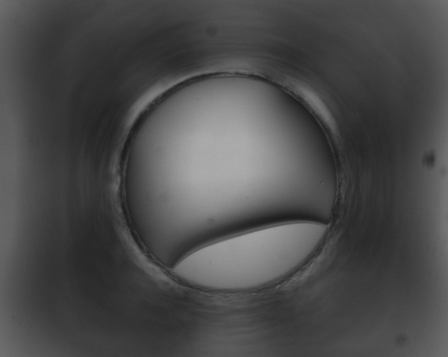 X0000101980944200807180757