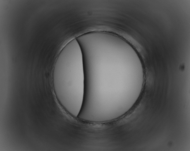 X0000101980945200807180757