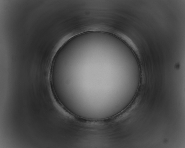 X0000101980946200807180757