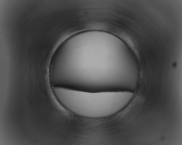 X0000101980947200807180757