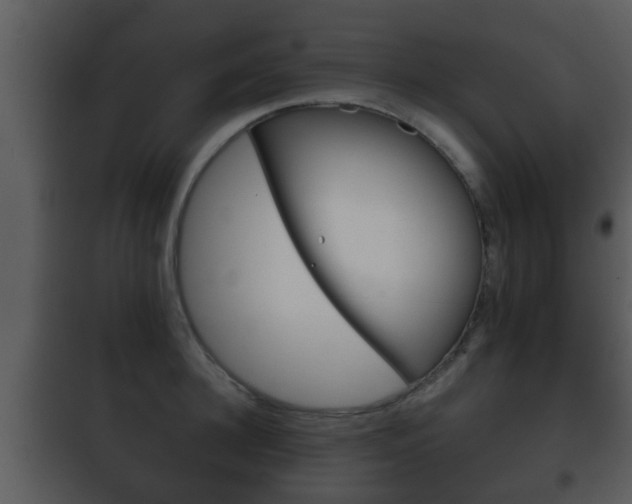 X0000101980948200807180757
