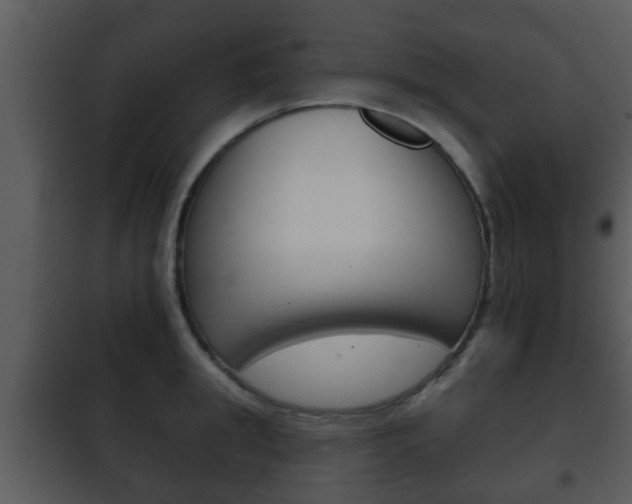X0000101980949200807180757