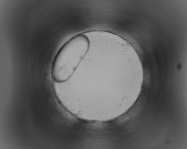 X0000101980950200807180757