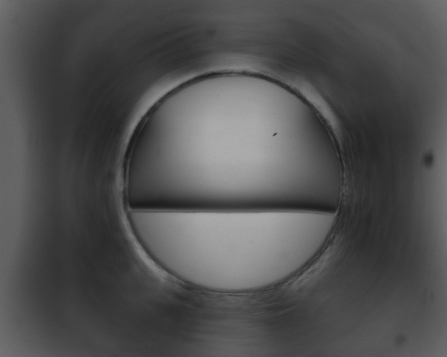 X0000101980951200807180757
