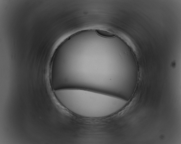 X0000101980952200807180757