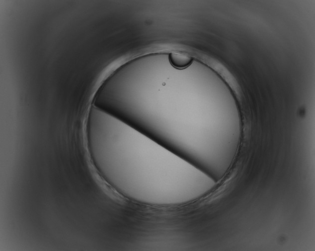 X0000101980954200807180757