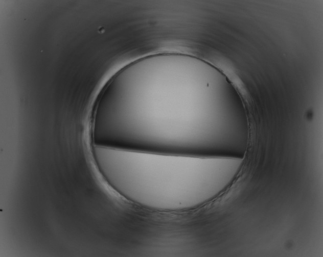 X0000101980955200807180757
