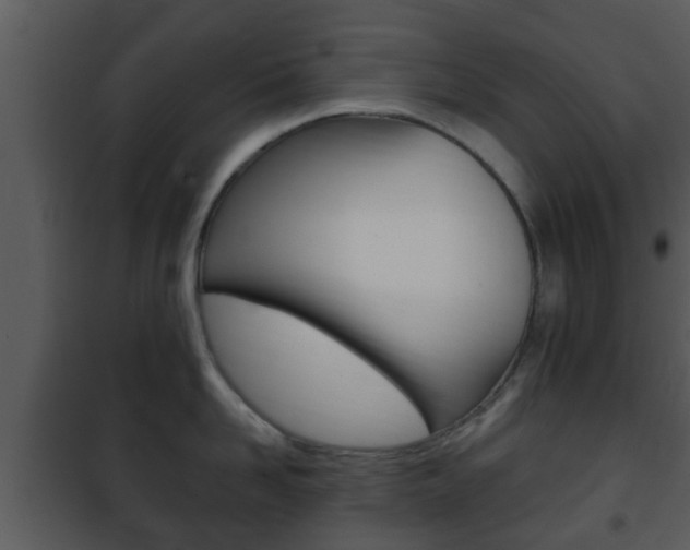 X0000101980958200807180757