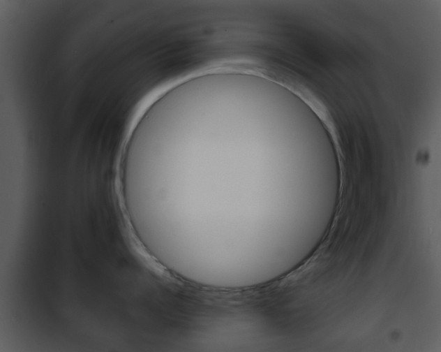 X0000101980960200807180757