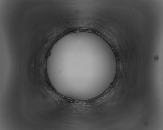 X0000101980961200807180757