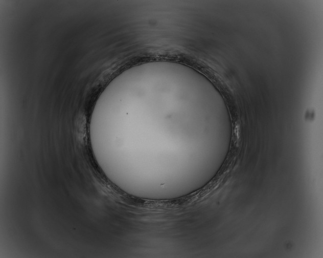 X0000101980963200807180757