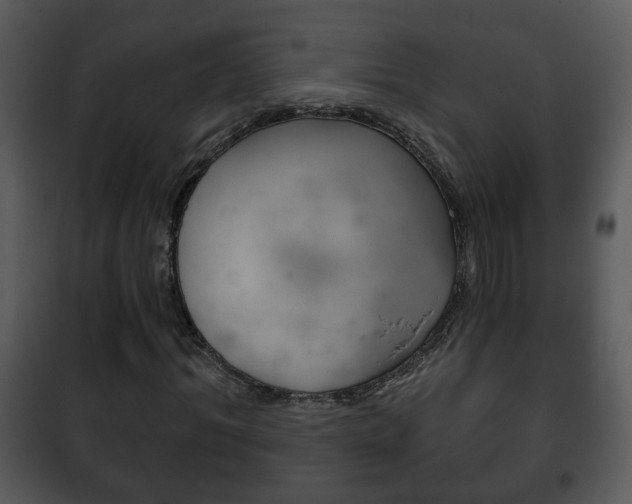 X0000101980964200807180757