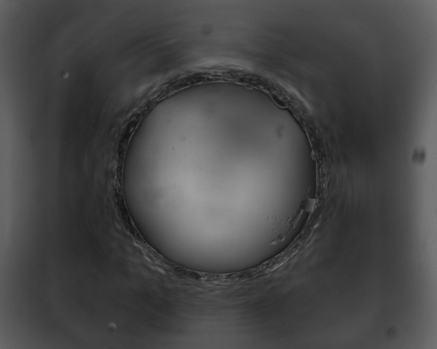 X0000101980965200807180757