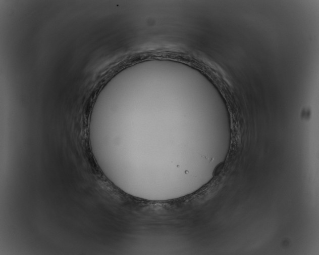 X0000101980966200807180757