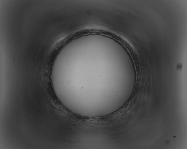 X0000101980967200807180757