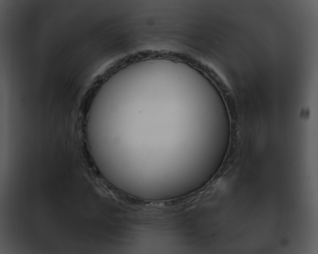 X0000101980968200807180757