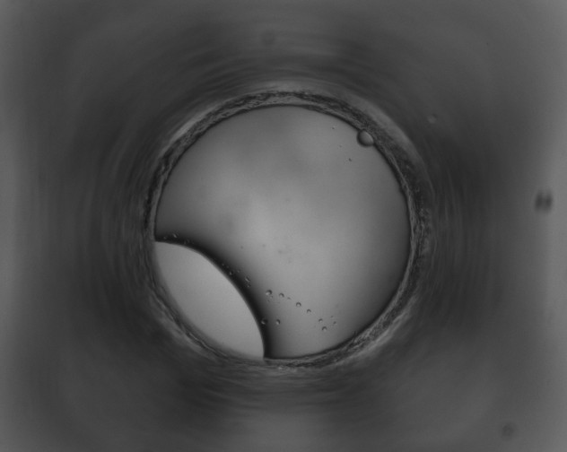 X0000101980969200807180757