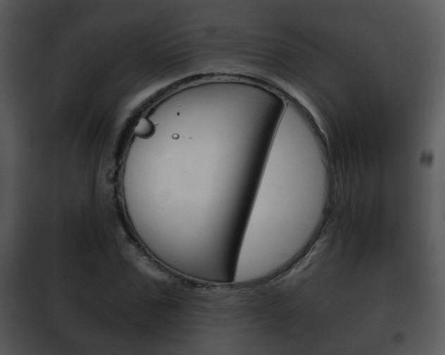 X0000101980971200807180757