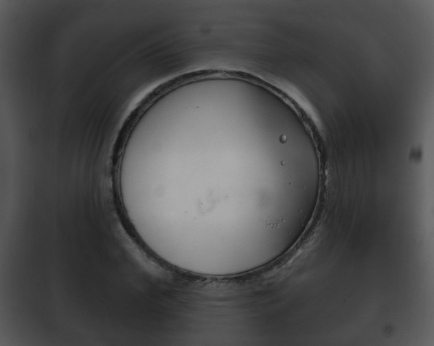 X0000101980972200807180757