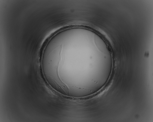 X0000101980973200807180757