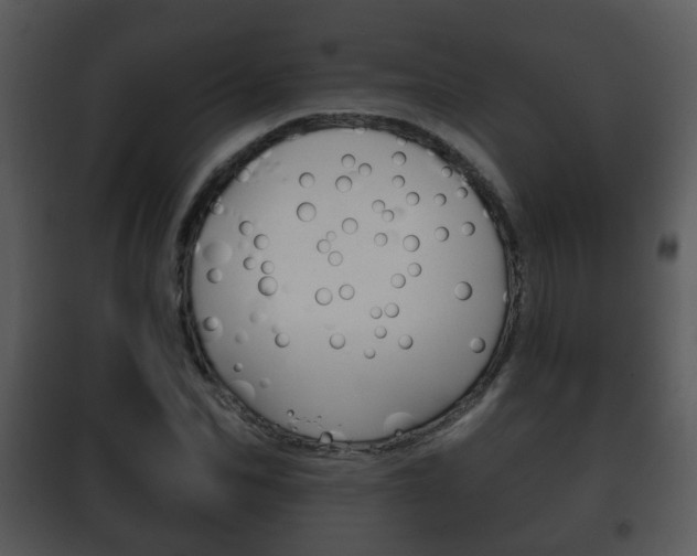 X0000101980974200807180757