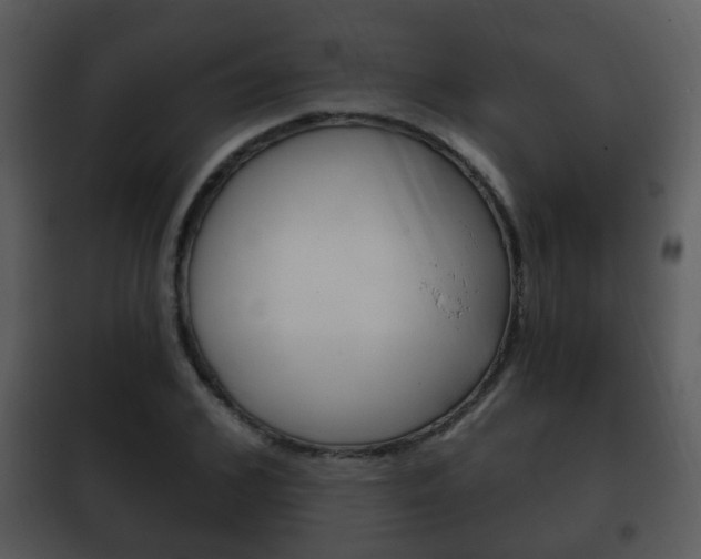 X0000101980976200807180756