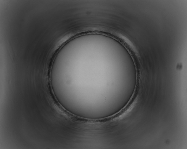X0000101980977200807180756