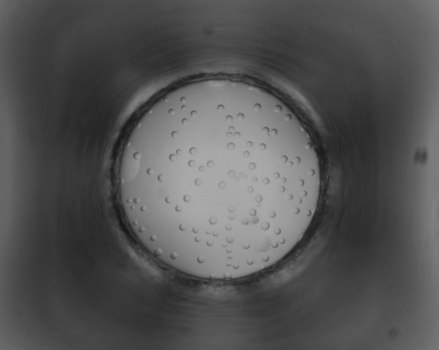 X0000101980978200807180756