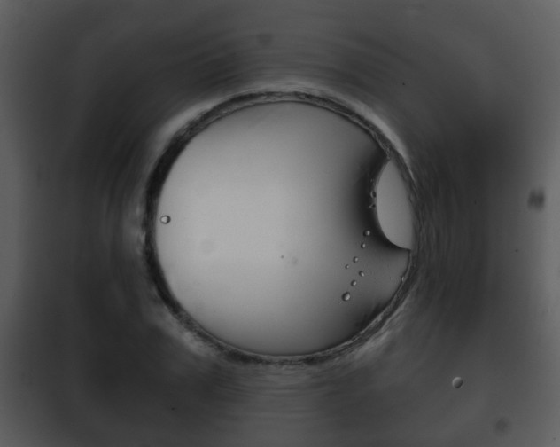 X0000101980979200807180756