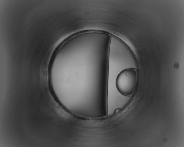 X0000101980980200807180756