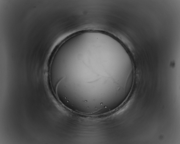 X0000101980981200807180756