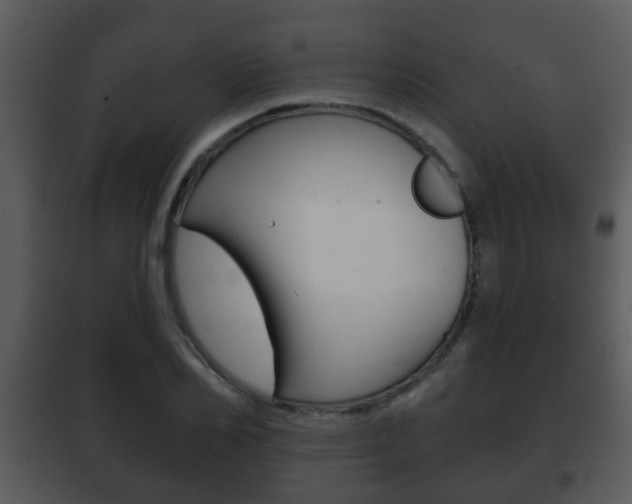X0000101980982200807180756