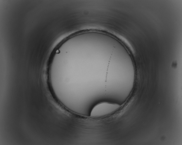 X0000101980983200807180756