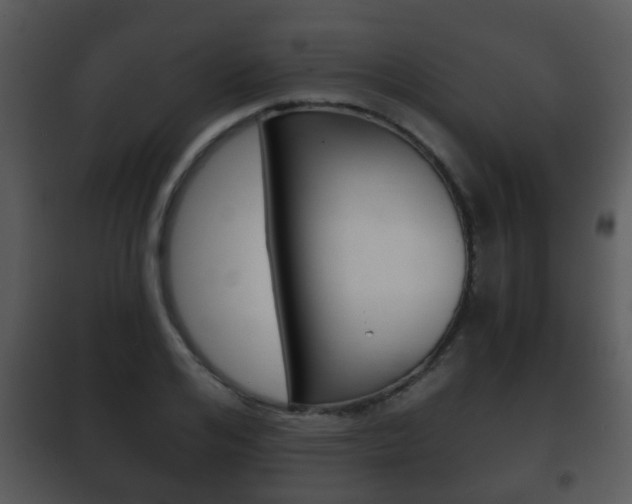 X0000101980984200807180756