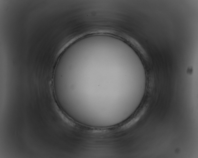 X0000101980985200807180756
