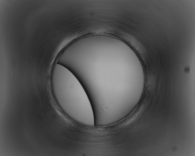 X0000101980986200807180756