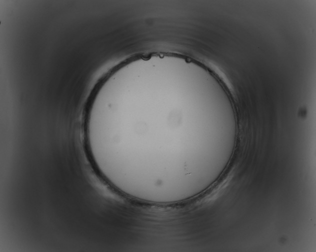 X0000101980987200807180756