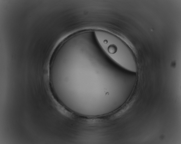 X0000101980988200807180756