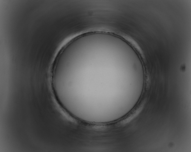 X0000101980989200807180756