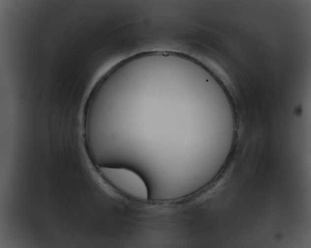 X0000101980990200807180756
