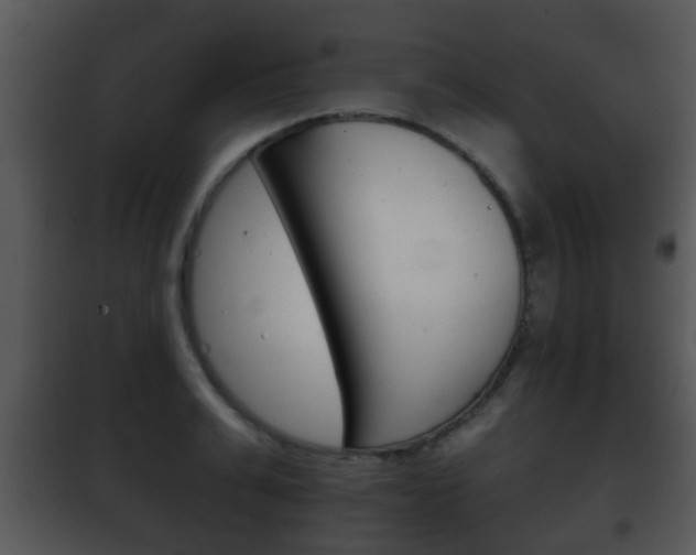 X0000101980991200807180756