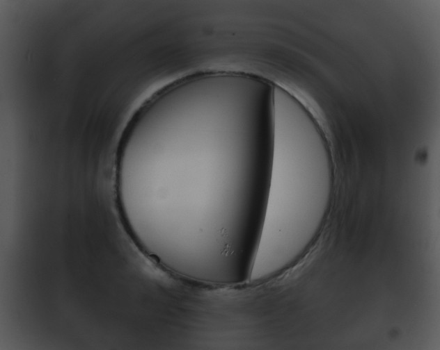 X0000101980992200807180756